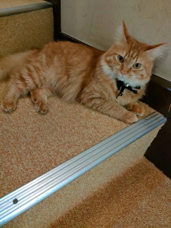 今日から３泊