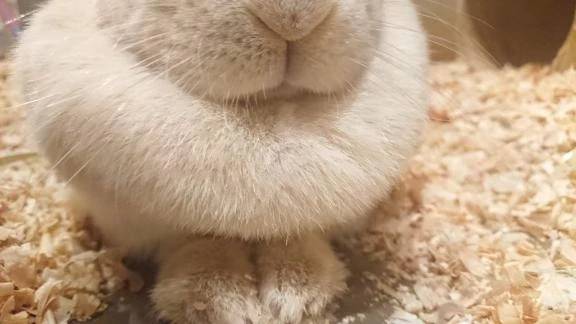 仲良しくんが