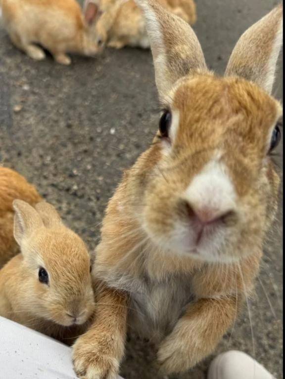 最新💓予約状況🐰