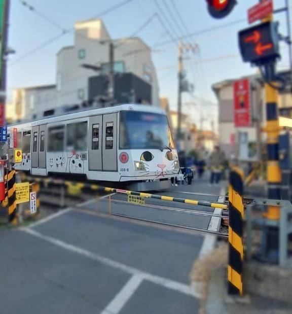 今日は何の日⤴️