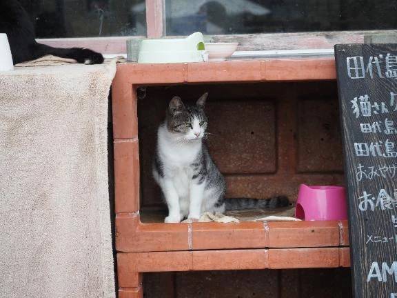 おはようございます☀️