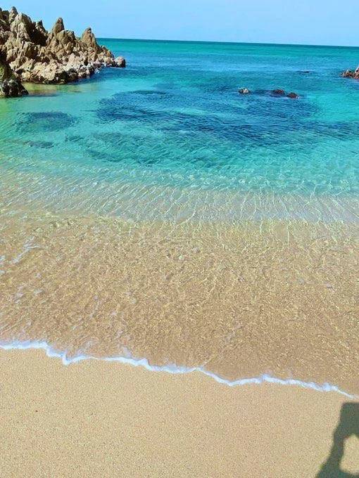 🌀3週間の夏休み終了🌀