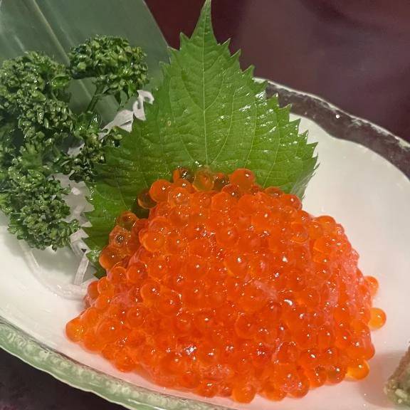 おはようございます(*´-`)