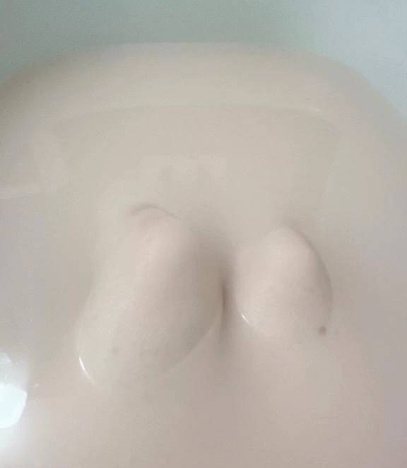 お気に入りあります！