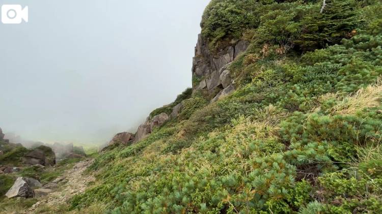 しぶつさん⛰️ふじげざん②\( *´ω`* )/🚩