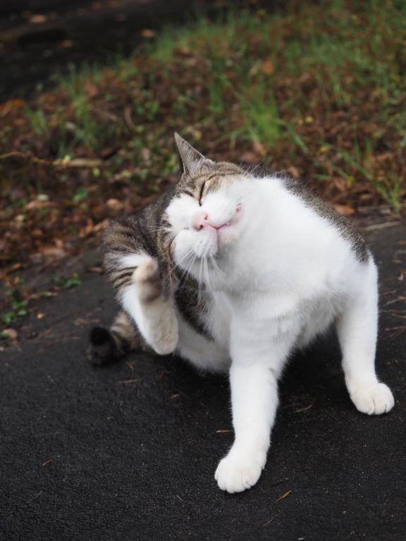おはようございます🤗