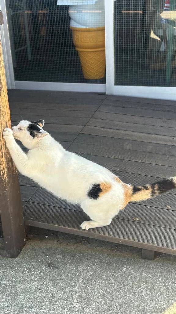 ♡ご予約♡
