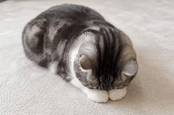 明日お休みします😭