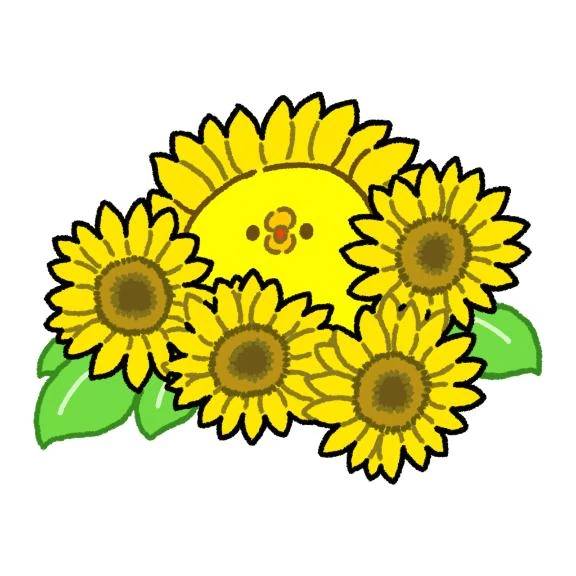 🌻