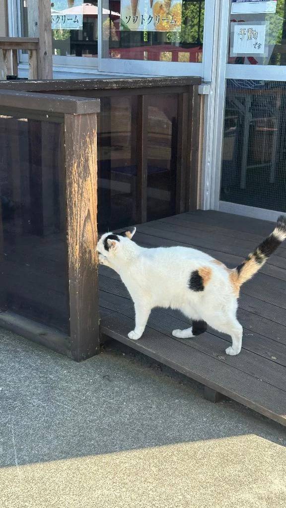 おはようございます☀️