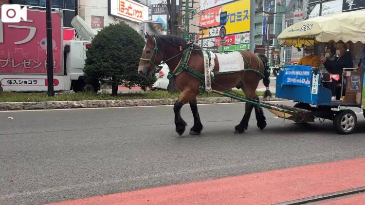 ほんじつのわたし\( *´ω`* )/♪