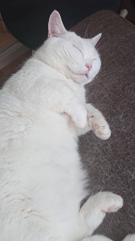 今日もよろしくです🤗