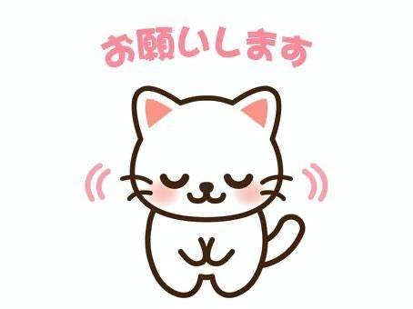 姫予約はこちらに🙇‍♀️🙇‍♀️