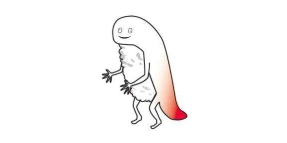 地震速報