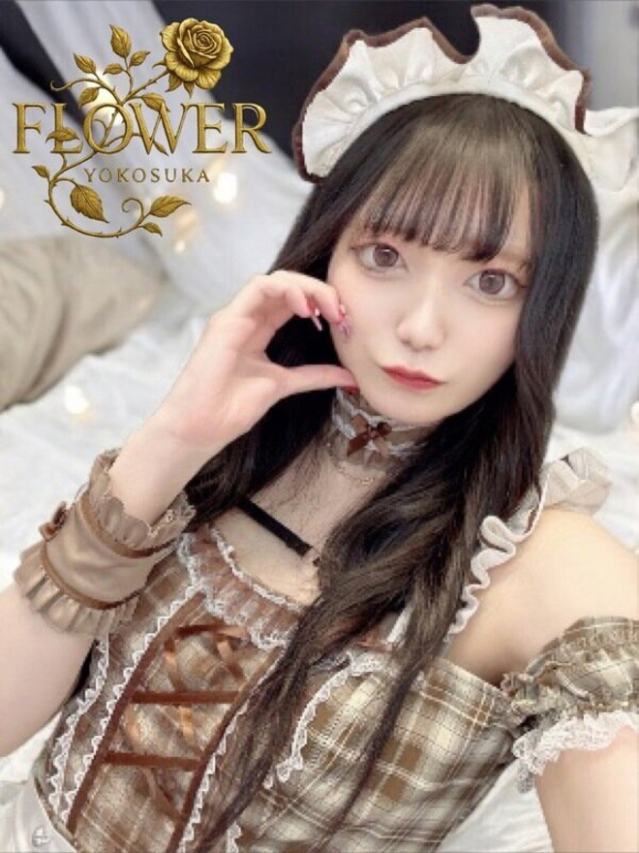 あおい（Flower (フラワー)）