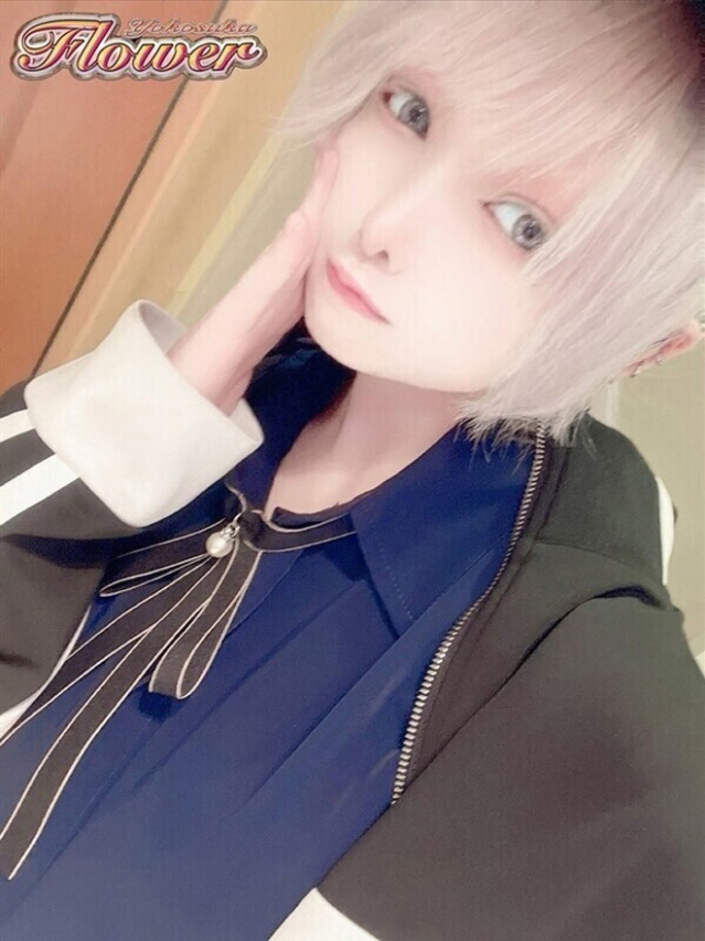 ねこ（Flower (フラワー)）