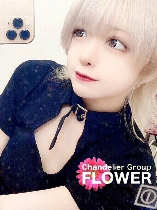 ねこ（Flower (フラワー)）