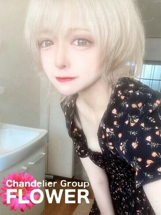 ねこ（Flower (フラワー)）