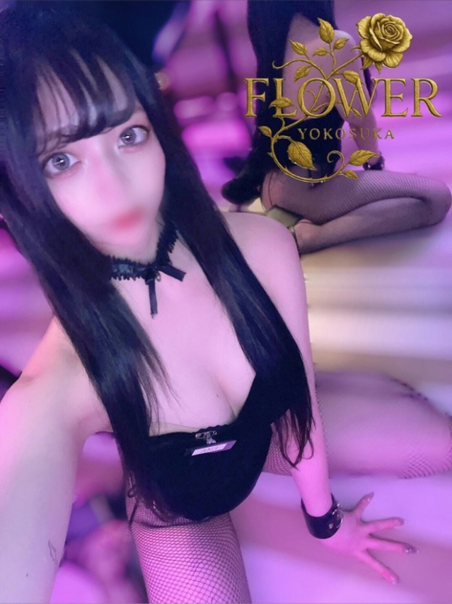 あんず(Flower (フラワー))
