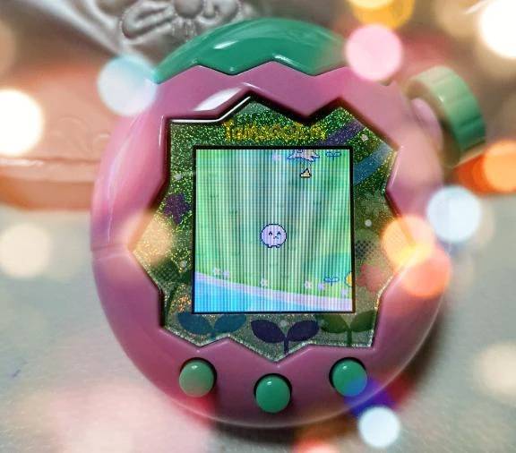 わたしのパラダイス🎶