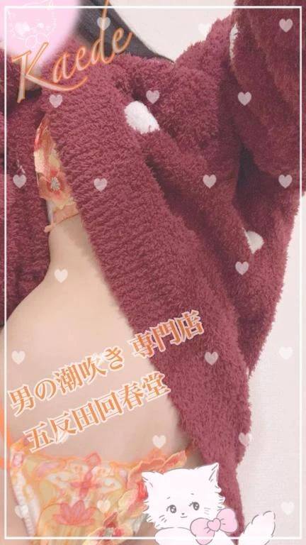 金のたまと極ダシ