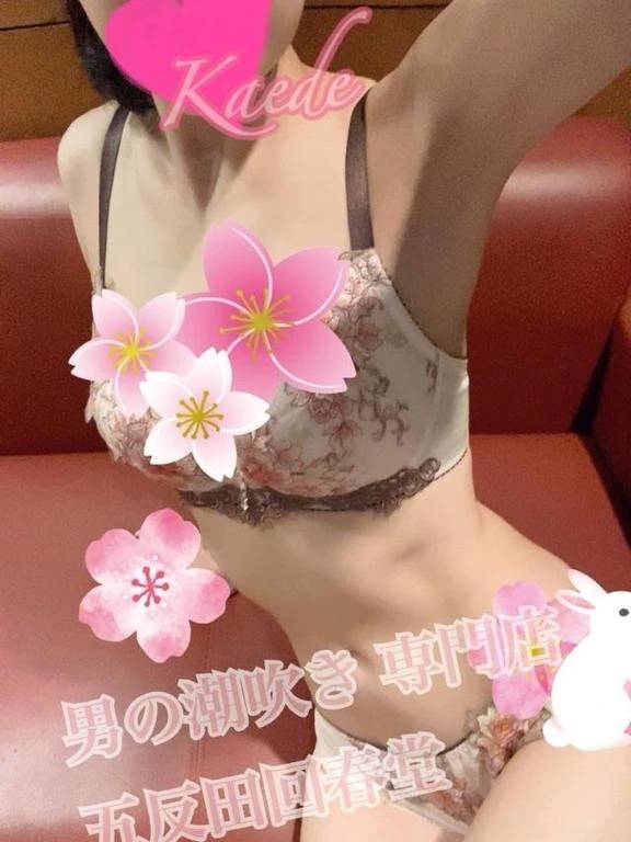 発売されましたので