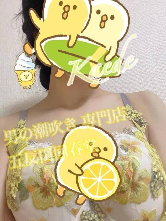 今日は