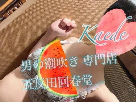 ごめんなさい！