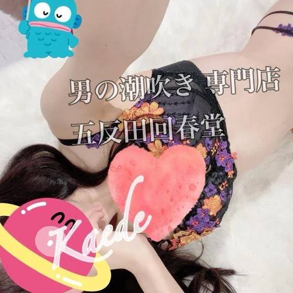 おすすめは