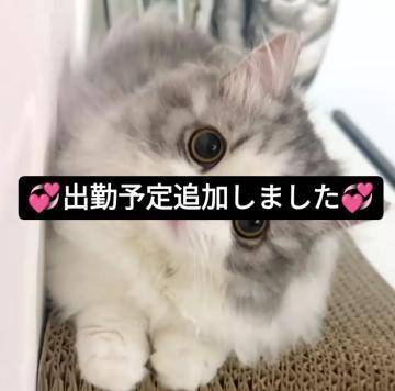 💞週末はことと💞