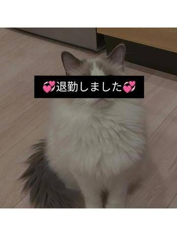 💞今日とて💞