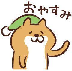 おやすみ