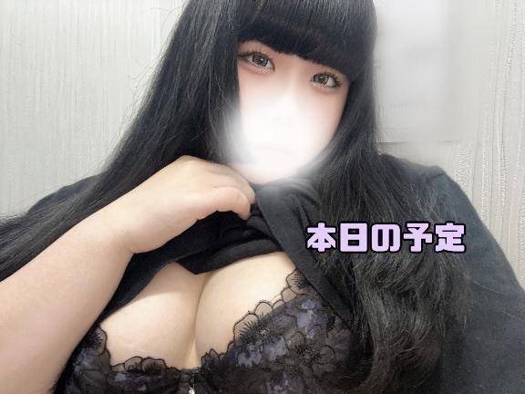 本日の予定🦋