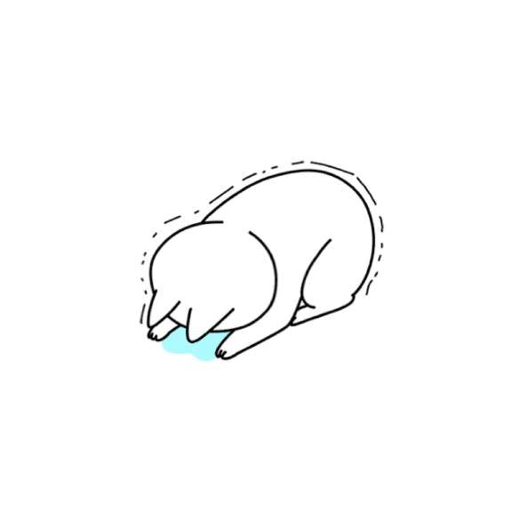 生理きました…