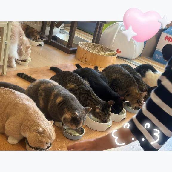 初めては…。