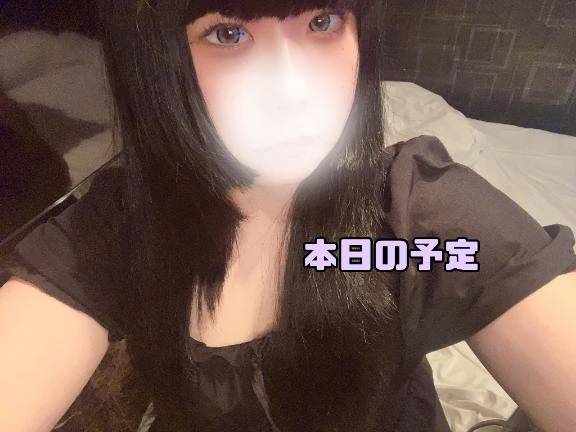 本日の予定🦋