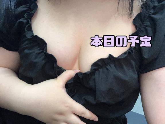 本日の予定🦋