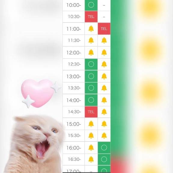 🈳12:15~14:30のみデス🐰🎀