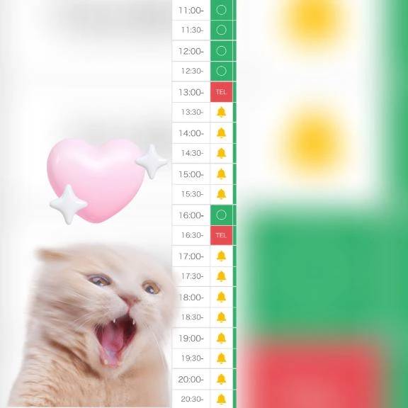 🈳11:00~13:00のみ❕