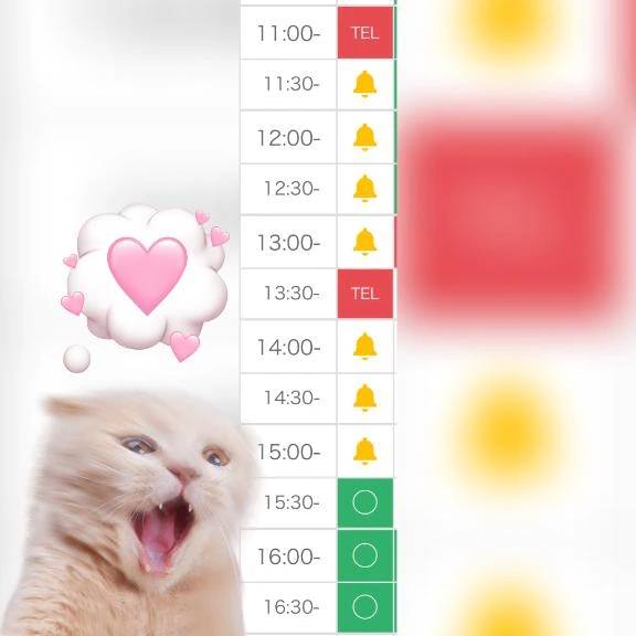 🈳15:15~17:00になります❕