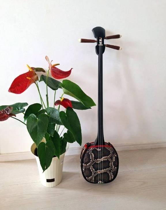 東京に来た、その感想。