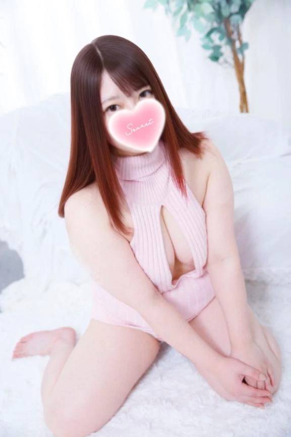 明日もいます🌷