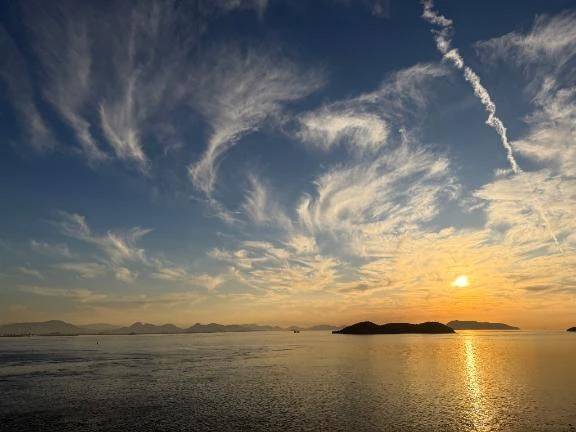 お休み期間の癒し