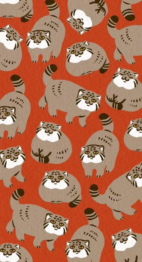 ワタクシの年末年始🌟