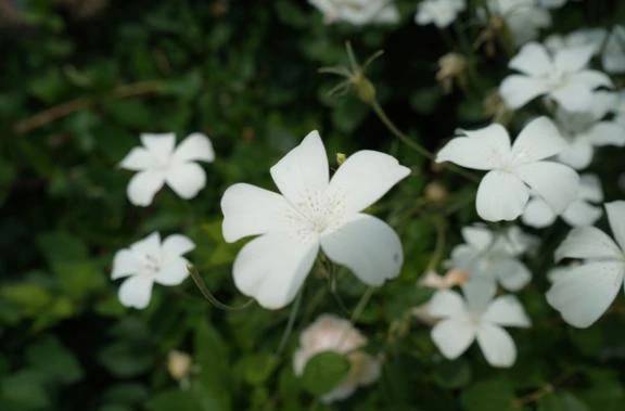 差、つけられます