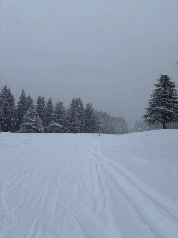 次の日通行止めになってた