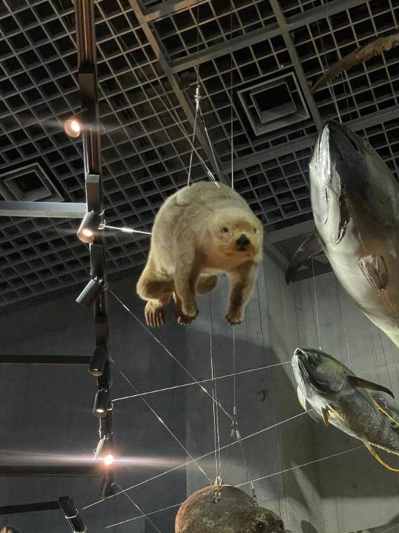 明日います〜〜！！！