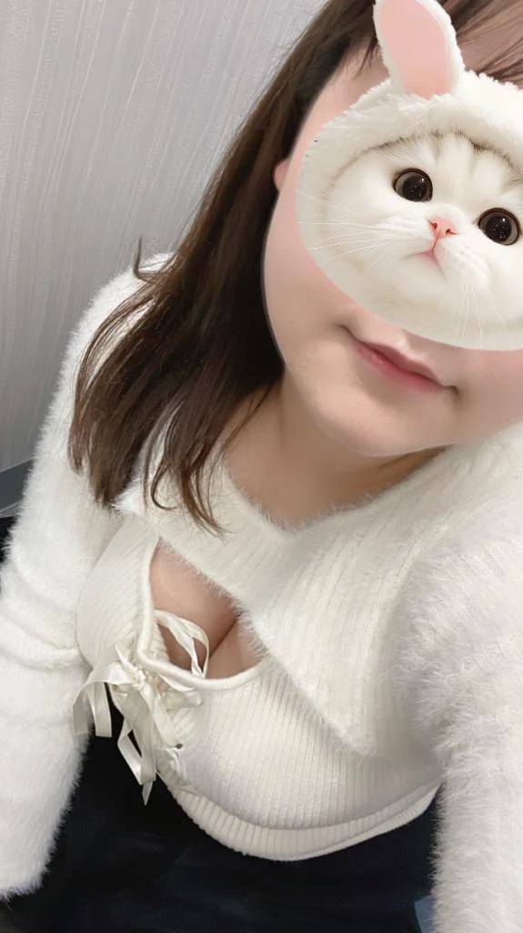 要問い合わせ📞(ᐡ.  ̫ .ᐡ ฅ)