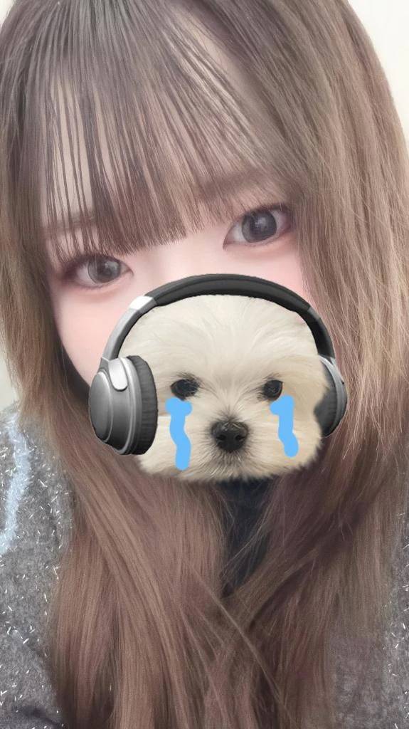 すみません(；；)