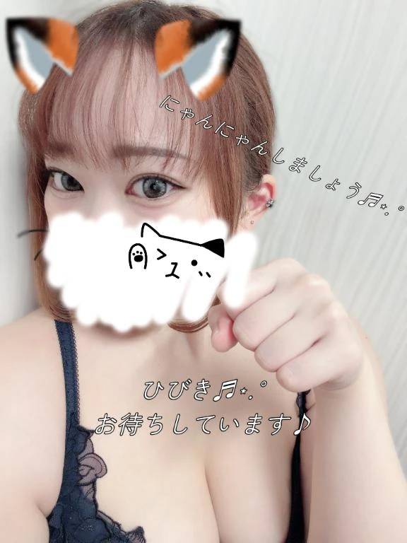 ただいま待機中🐈